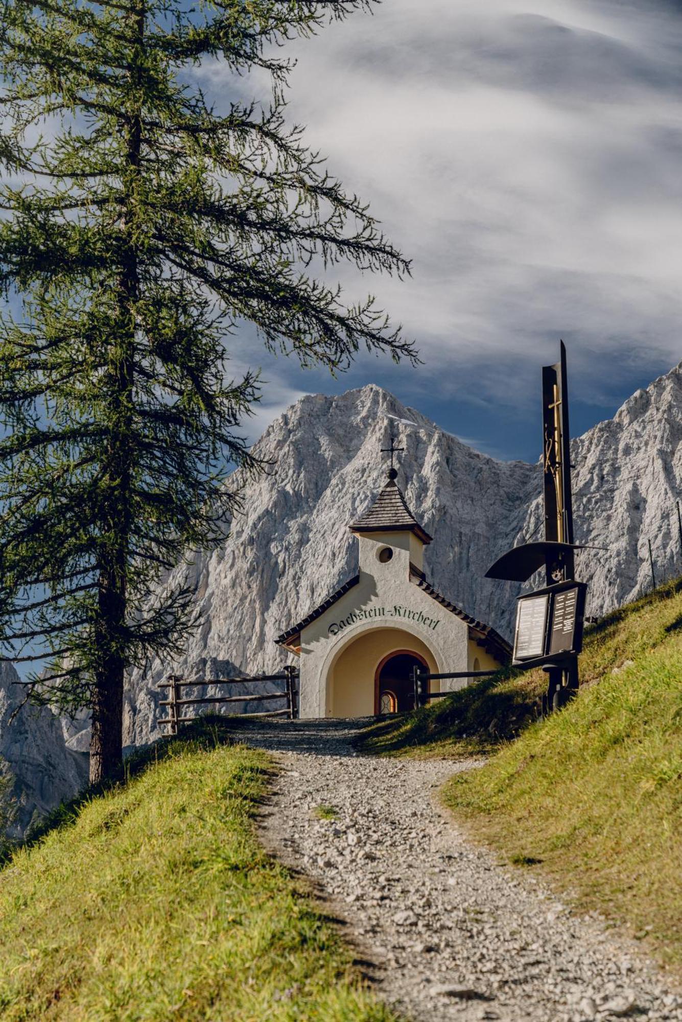 Brandhof - Chalet Am Berg رامساو أم داتشستين المظهر الخارجي الصورة