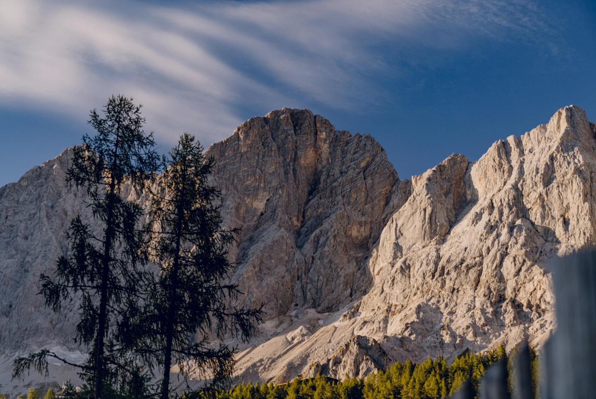 Brandhof - Chalet Am Berg رامساو أم داتشستين المظهر الخارجي الصورة